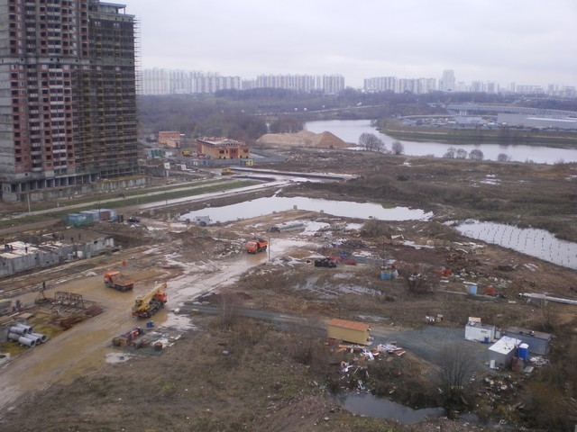 IMGP0010