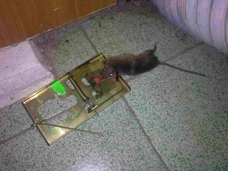 120220131442