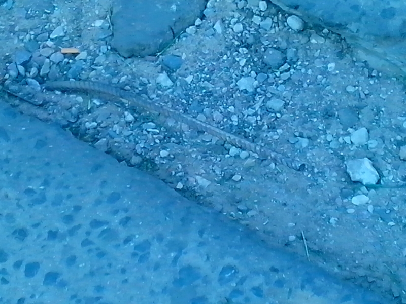 IMG 20130605 191709