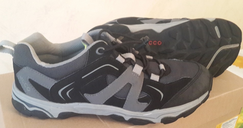 ecco1