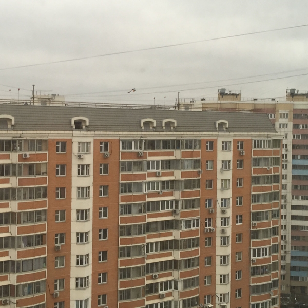 Крыша Павшинский-12