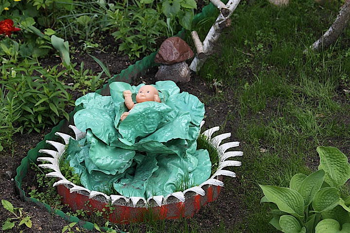 IMG 1989 1
