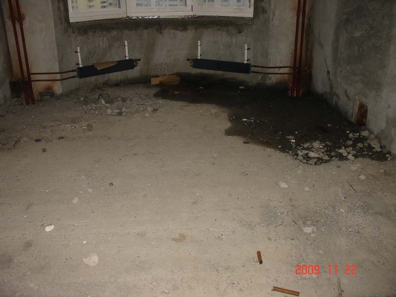 DSC08142