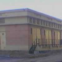 Павшино